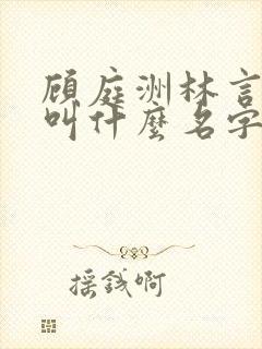 顾庭洲林言小说叫什么名字