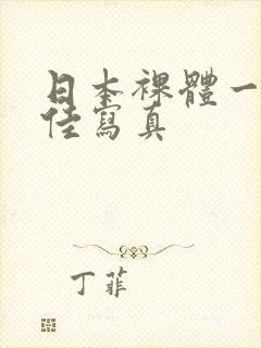 日本裸体一丝不佳写真封面