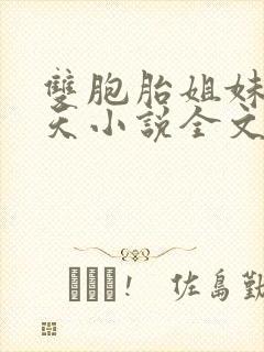 双胞胎姐妹乐翻天小说全文阅读