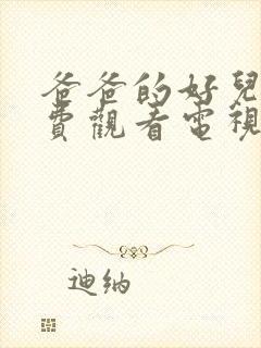 爸爸的好儿子免费观看电视剧高清