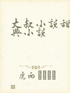 大叔小说甜宠经典小说封面