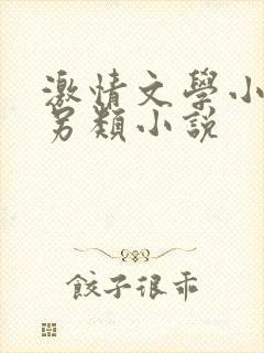 激情文学小说区另类小说