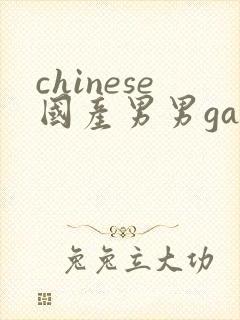 chinese国产男男gaygay网站