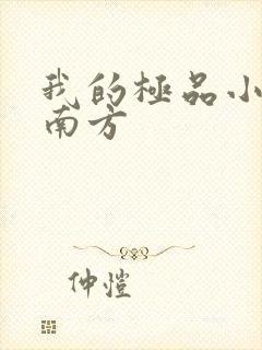 我的极品小姨李南方