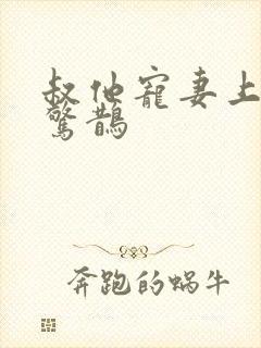 叔他宠妻上瘾花惊鹊