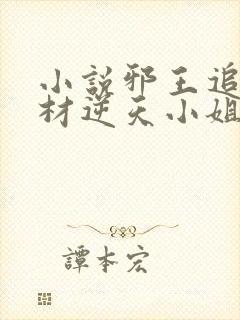 小说邪王追妻废材逆天小姐