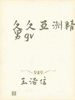 久久亚洲精品男男gv