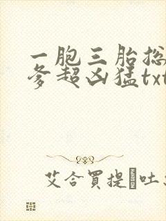 一胞三胎总裁爹爹超凶猛txt下载全本