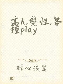 高h,双性,各种play