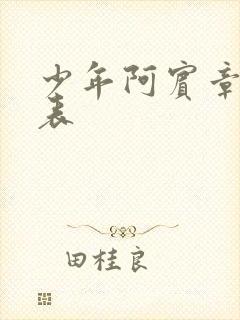 少年阿宾章节列表