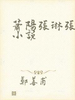 萧阳张琳张明月小说