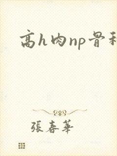 高h肉np骨科