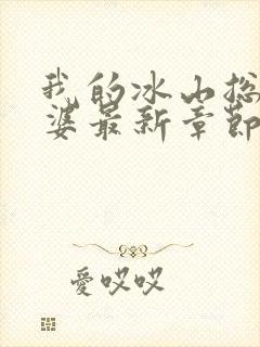 我的冰山总裁老婆最新章节阅读