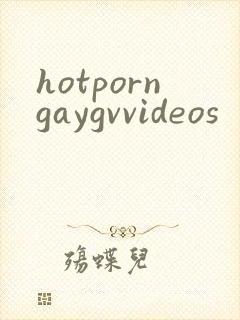 hotporngaygvvideos