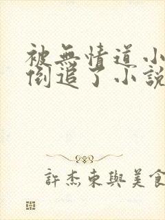 被无情道小师弟倒追了小说免费下载