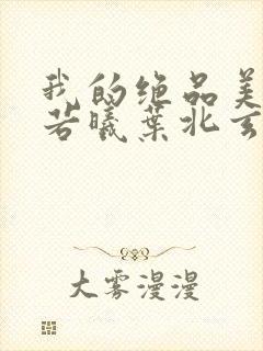 我的绝品美母柳若曦叶北玄免费阅读