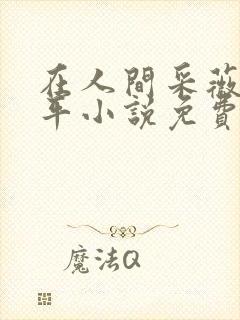 在人间采薇陆三平小说免费阅读