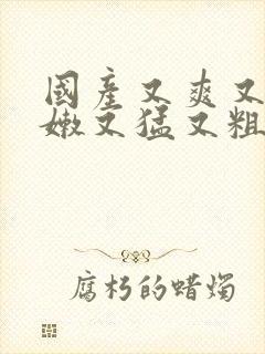 国产又爽又黄又嫩又猛又粗