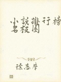 小说排行榜前十名校园封面