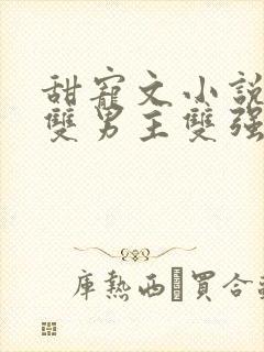 甜宠文小说推荐双男主双强