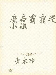 魔帝霸宠逆天九小姐