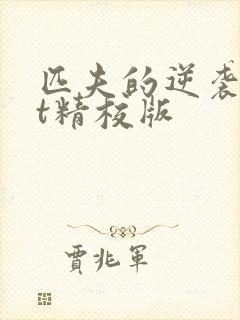 匹夫的逆袭txt精校版