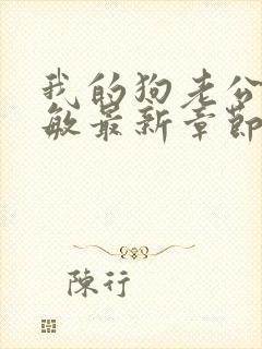 我的狗老公张淑敏最新章节免费阅读