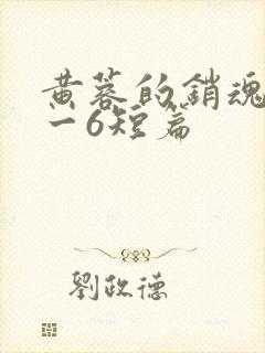 黄蓉的销魂夜1一6短篇封面