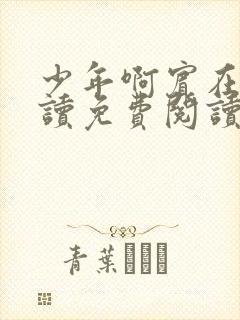 少年啊宾在线阅读免费阅读笔趣