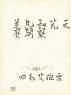 叶凡和荒天帝什么关系