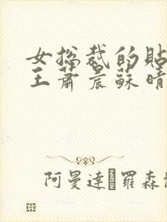 女总裁的贴身兵王萧晨苏晴封面