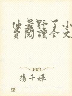 他最野了小说免费阅读全文