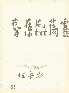 我在风花雪月里等你txt网盘