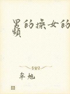 男的操女的 视频