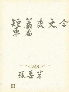 短篇爽文合集公车篇