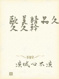 欧美精品久久久久久干