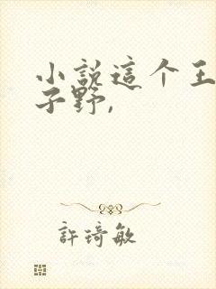 小说这个王妃路子野,封面