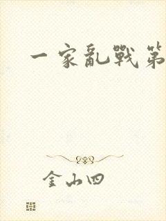 一家乱战第5部封面