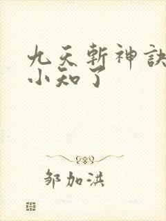 九天斩神诀下载小知了