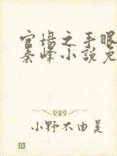 官场之手眼通天秦峰小说免费