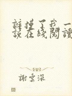 谁摸了我一下小说在线阅读