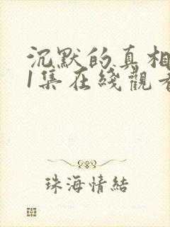 沉默的真相第11集在线观看