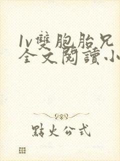 1v双胞胎兄弟全文阅读小说