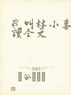 我叫林小喜全阅读全文