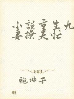 小说重生九零甜妻撩夫忙