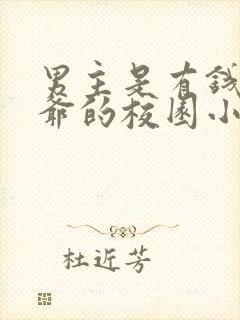 男主是有钱的少爷的校园小说