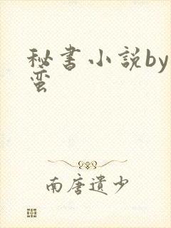 秘书小说by阿蛮封面