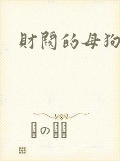 财阀的母狗们