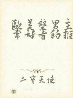 欧美双男主剧非常好看的推荐封面