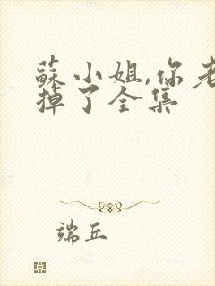 苏小姐,你老公掉了全集